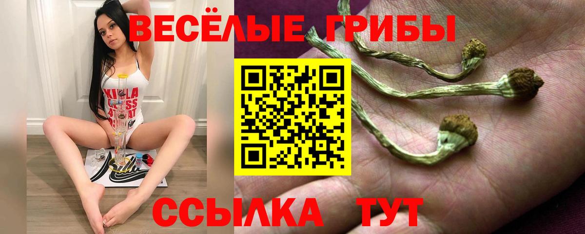 Галлюциногенные грибы ЛСД Десногорск