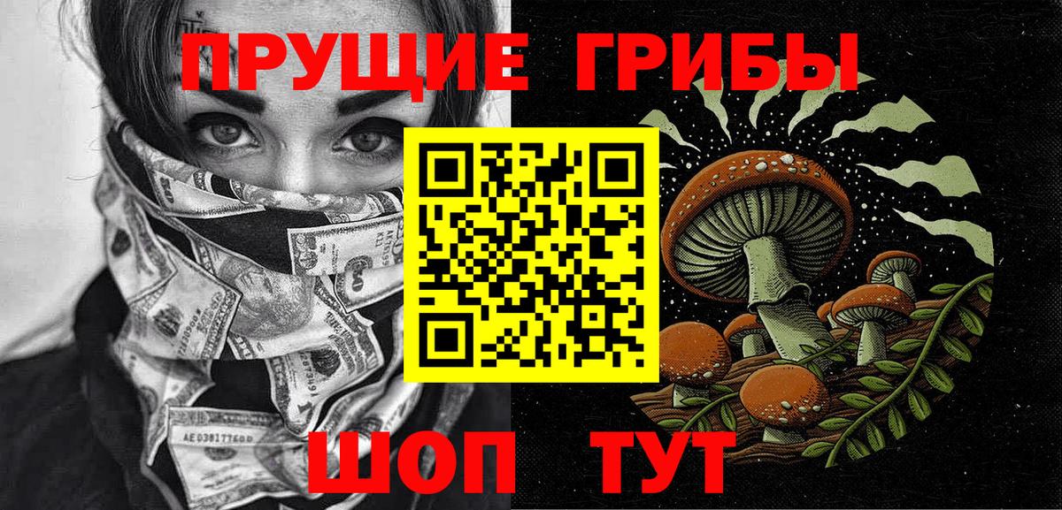 Галлюциногенные грибы Psilocybine cubensis  Псилоцибиновые грибы прущие грибы  Десногорск  Вход с VPN 